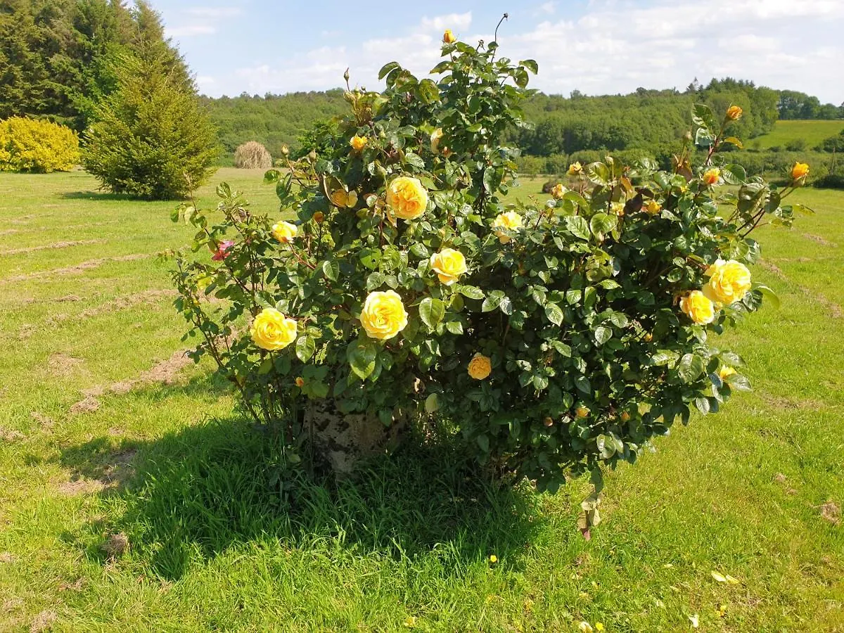 Charming Traditional 2-Bed Cottage Near Plémet Hébergement de vacances